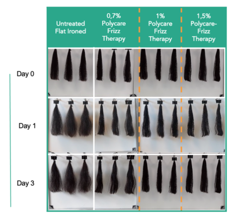 Polycare® Frizz Therapy – Visual assessment (50%)
